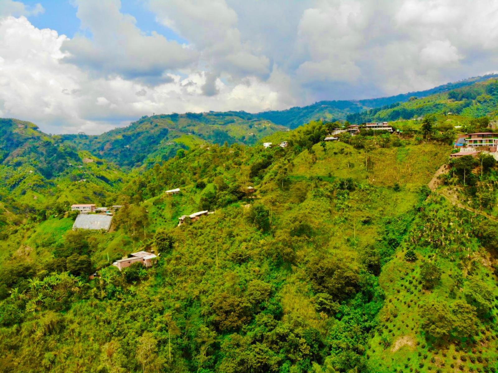 Mountain View Hostel Manizales Buitenkant foto