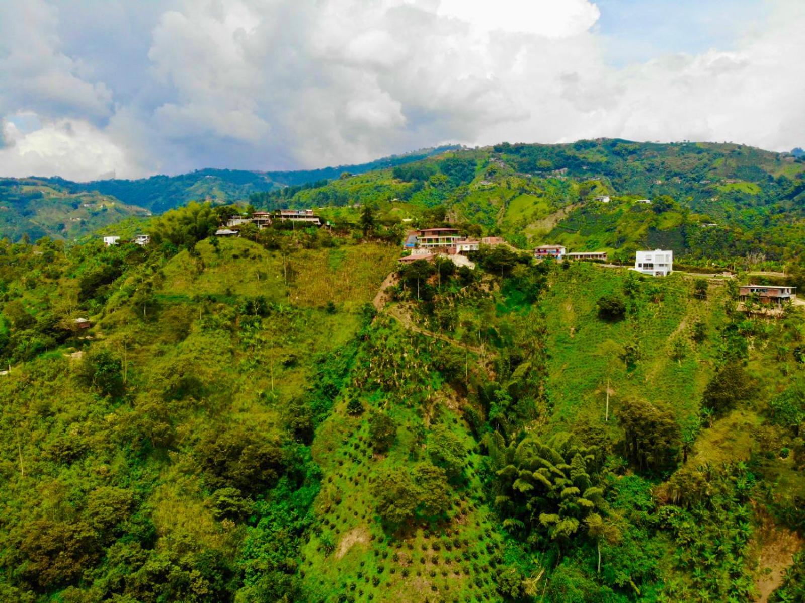 Mountain View Hostel Manizales Buitenkant foto