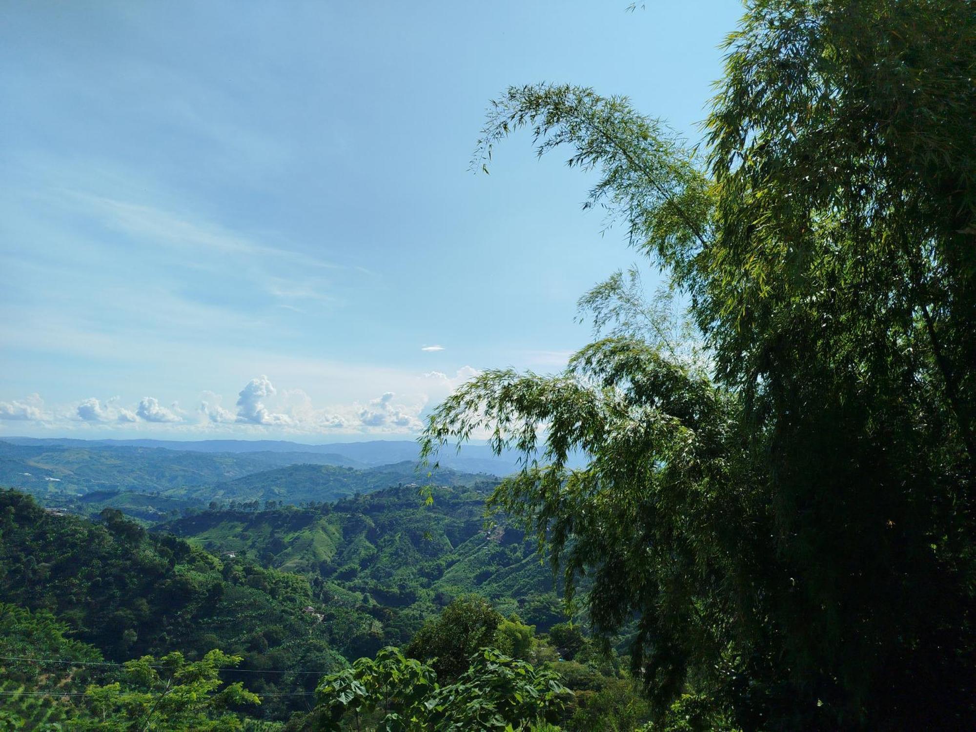 Mountain View Hostel Manizales Buitenkant foto